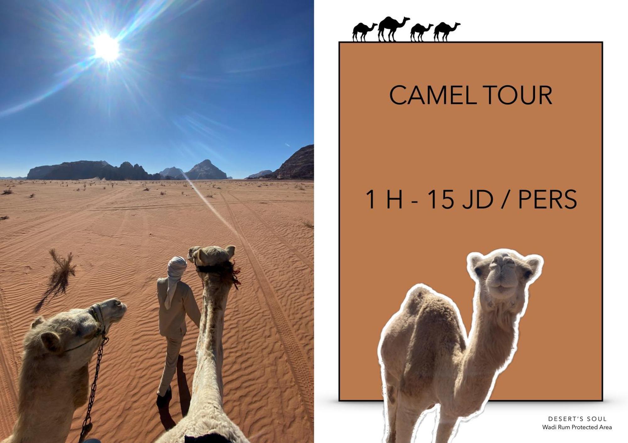 Desert'S Soul Wadi Rum Ad Disah Exterior photo