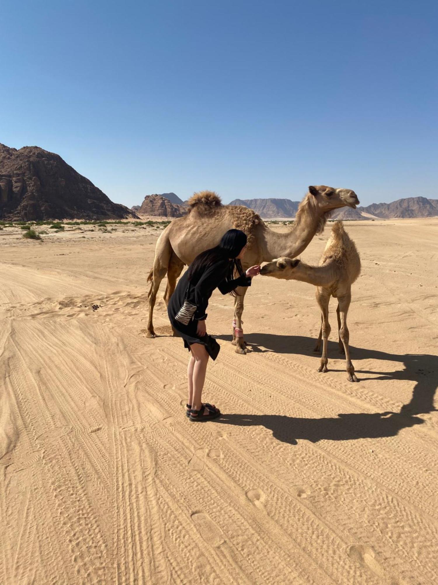 Desert'S Soul Wadi Rum Ad Disah Exterior photo
